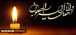 انا لله و انا الیه راجعون

پیام تسلیت به سردبیر مجله تعلیم و تربیت مرکز تربیت مبلغ معلم